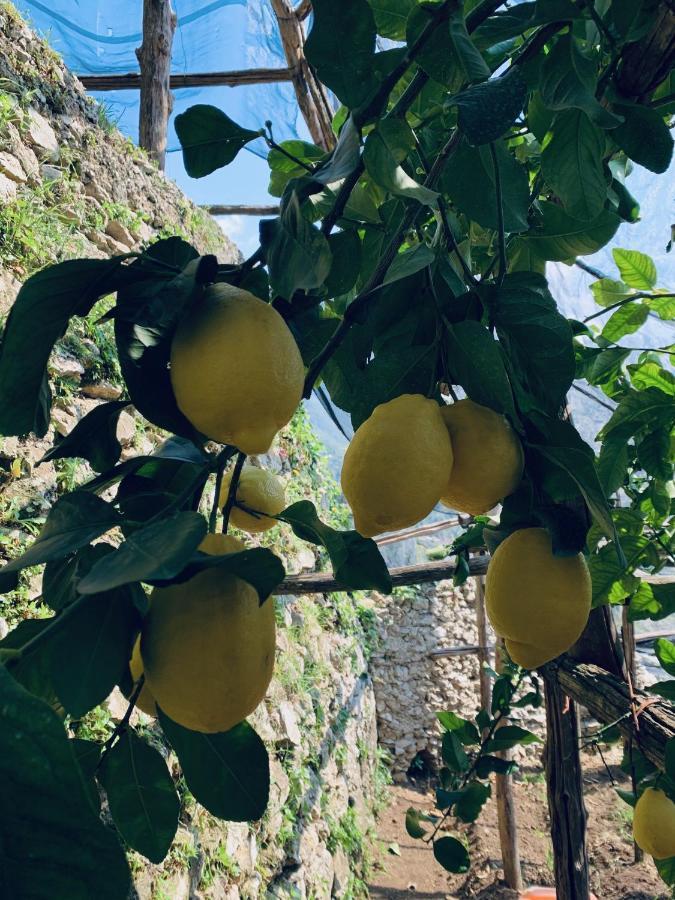 Il Giardino Dorato Villa Maiori Bagian luar foto